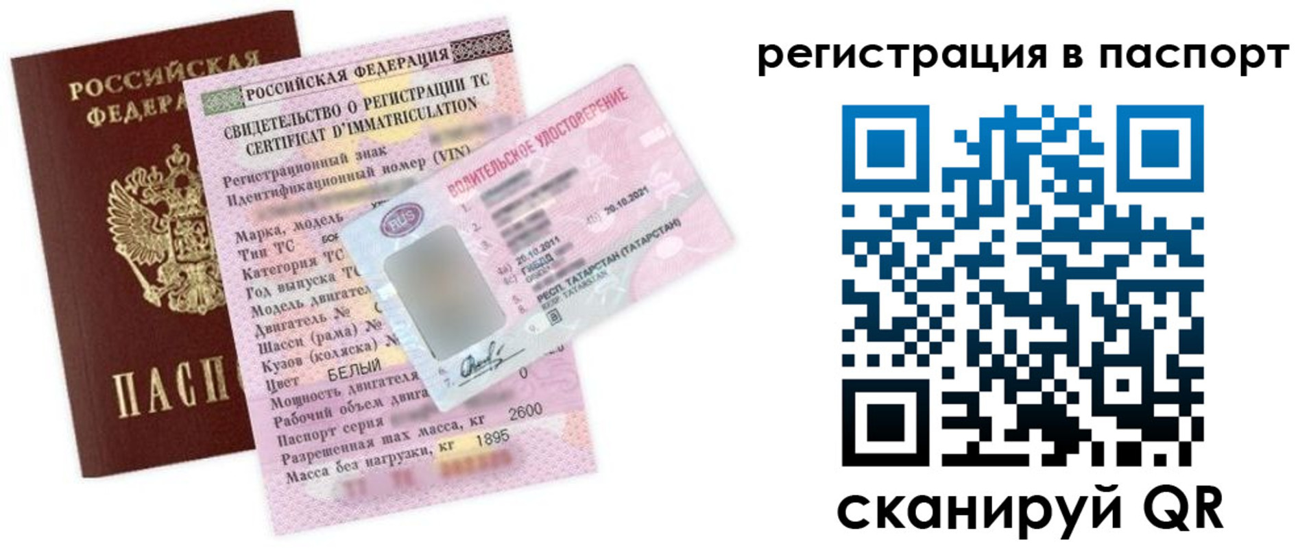 прописка для школы в Московской области